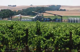 Kirrihill Wines - Tourism Caloundra 0