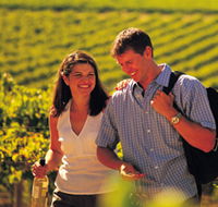 Lady Bay Vineyard - Tourism Caloundra
