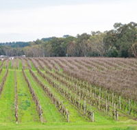 Dennis Wines - Tourism Caloundra