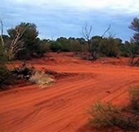 Tallaringa Conservation Park - Tourism Caloundra