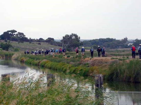 Lavender Federation Trail - Tourism Caloundra 2