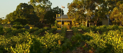Greenock Creek Wines - Tourism Caloundra 2