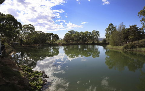 Maggie Beer's Farm Shop - Tourism Caloundra 6