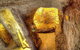 Unique Opal And Diamond Mine  - The Underground Opal Mine - thumb 4