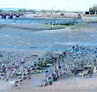 Jervois Basin Ships' Graveyard - Tourism Caloundra