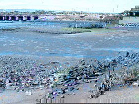 Jervois Basin Ships' Graveyard - Tourism Caloundra 0