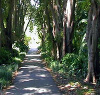 Adelaide Botanic Garden - Tourism Caloundra