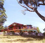 Barringwood Park Vineyard - Tourism Caloundra