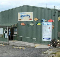 Stanley Seaquarium - Tourism Caloundra