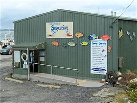 Stanley Seaquarium - Tourism Caloundra 0