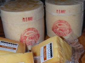 Pyengana Dairy Company - Tourism Caloundra 0