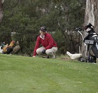 Tasmania Golf Club - The - Tourism Caloundra