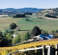 Freycinet Vineyards Pty Ltd - Tourism Caloundra