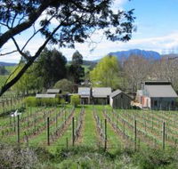 Wilmot Hills Vineyard - Tourism Caloundra