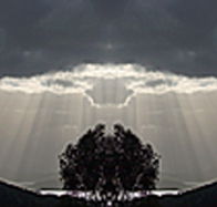 aart. Gallery of Fine Art - Tourism Caloundra