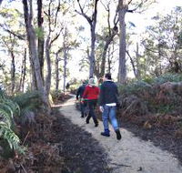Bridport Walking Track - Tourism Caloundra