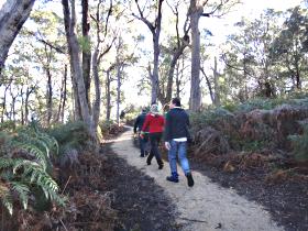 Bridport Walking Track - Tourism Caloundra 0