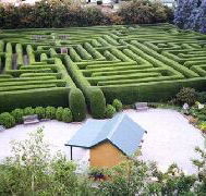Westbury Maze and Tea Room - Tourism Caloundra