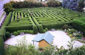Westbury Maze And Tea Room - Tourism Caloundra 0