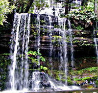 Mt Field National Park - Tourism Caloundra