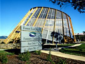Jetsonville TAS Tourism Caloundra