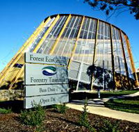 Forest EcoCentre - Tourism Caloundra
