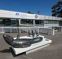 Australia's Antarctic Headquarters - Tourism Caloundra