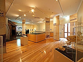 Tasmanian Tiger Exhibition - Tourism Caloundra 0