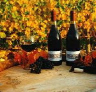 Craigow Vineyard - Tourism Caloundra