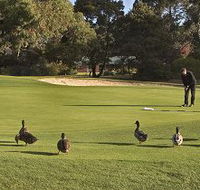 Royal Hobart Golf Club - Tourism Caloundra
