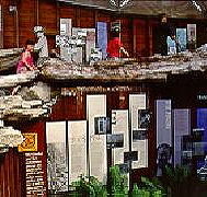 West Coast Visitor Information and Booking Centre - Tourism Caloundra