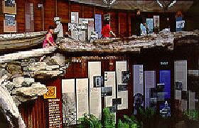 West Coast Visitor Information And Booking Centre - Tourism Caloundra 0