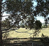Cygnet Public Golf Course - Tourism Caloundra
