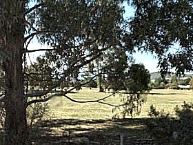 Cygnet Public Golf Course - Tourism Caloundra 0