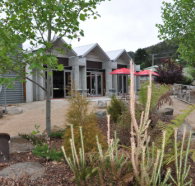 Tin Dragon Interpretation Centre and Cafe - Tourism Caloundra