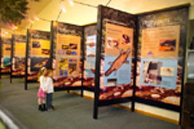 Platypus Experience - Tourism Caloundra 0