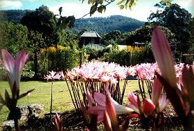 Blueberry Cottage Open Gardens - Tourism Caloundra 0