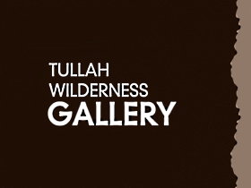 Tullah Wilderness Gallery - Tourism Caloundra 0