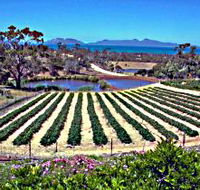 Kate's Berry Farm - Tourism Caloundra
