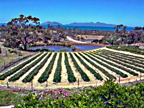 Kate's Berry Farm - Tourism Caloundra 0