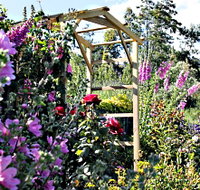 Thelma Retreat Garden and Teahouse - Tourism Caloundra