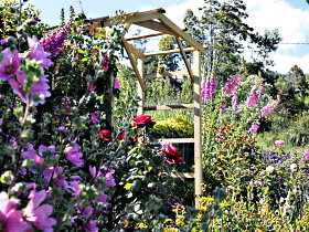 Thelma Retreat Garden And Teahouse - Tourism Caloundra 0