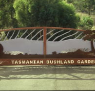 Tasmanian Bushland Garden - Tourism Caloundra