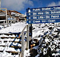 Ben Lomond National Park - Tourism Caloundra