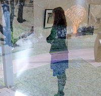 Beaver Galleries - Tourism Caloundra