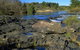 Pine Island To Point Hut Reserve - thumb 0