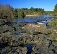 Pine Island to Point Hut Reserve - Tourism Caloundra