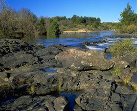 Pine Island To Point Hut Reserve - Tourism Caloundra 0