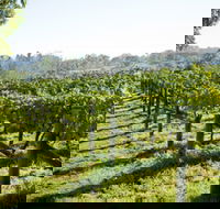 Surveyor's Hill Vineyards - Tourism Caloundra