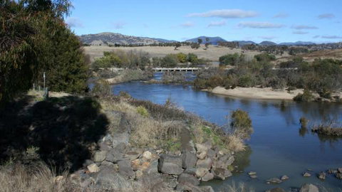 Pine Island To Point Hut Reserve - Tourism Caloundra 1